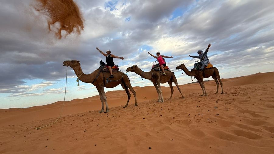 Camel caravan in the Erg Chebbi dunes